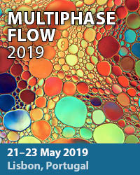 Multiphase Flow 2019