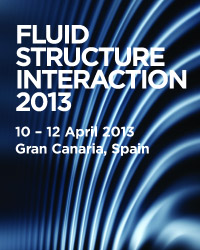 Fluid Structure Interaction 2013 200x250_FSI