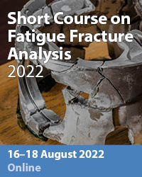 Fracture Analysis 2022