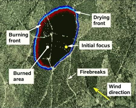 Forest Fire Map